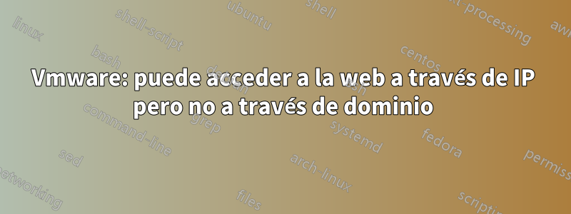 Vmware: puede acceder a la web a través de IP pero no a través de dominio