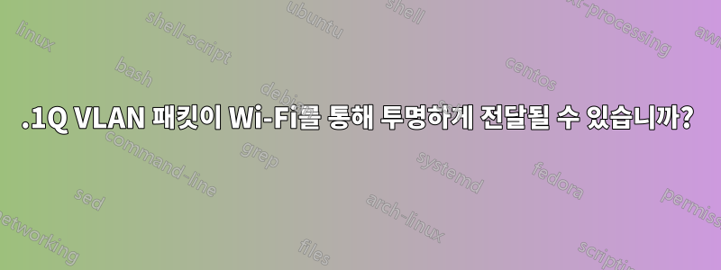 802.1Q VLAN 패킷이 Wi-Fi를 통해 투명하게 전달될 수 있습니까?