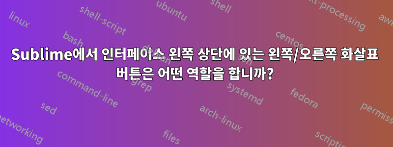 Sublime에서 인터페이스 왼쪽 상단에 있는 왼쪽/오른쪽 화살표 버튼은 어떤 역할을 합니까?