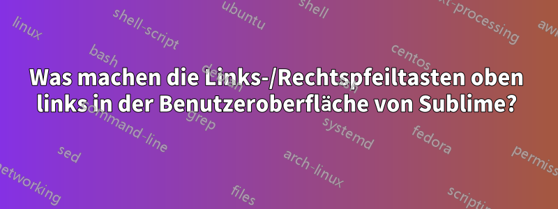 Was machen die Links-/Rechtspfeiltasten oben links in der Benutzeroberfläche von Sublime?