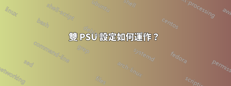 雙 PSU 設定如何運作？