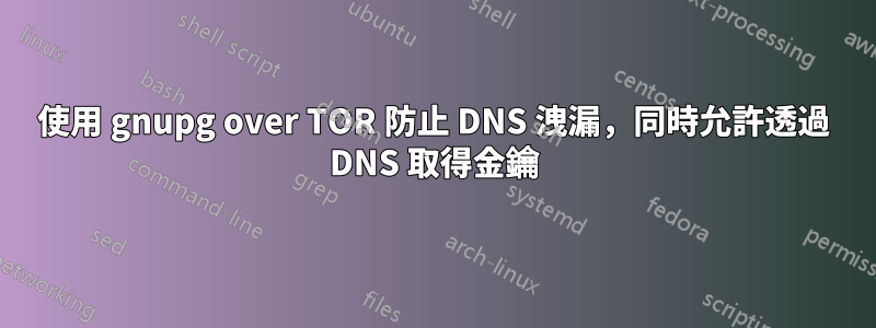 使用 gnupg over TOR 防止 DNS 洩漏，同時允許透過 DNS 取得金鑰