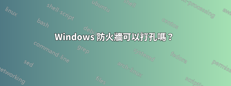 Windows 防火牆可以打孔嗎？