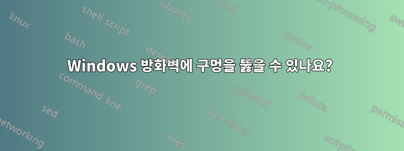 Windows 방화벽에 구멍을 뚫을 수 있나요?