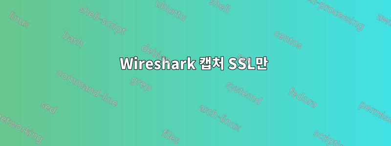 Wireshark 캡처 ​​SSL만