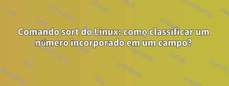 Comando sort do Linux: como classificar um número incorporado em um campo?