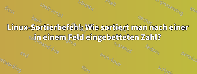 Linux-Sortierbefehl: Wie sortiert man nach einer in einem Feld eingebetteten Zahl?