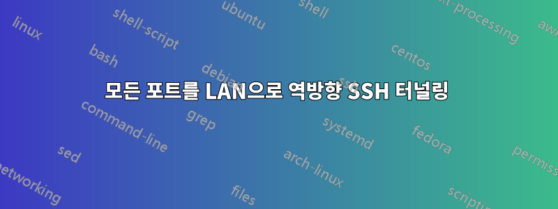 모든 포트를 LAN으로 역방향 SSH 터널링