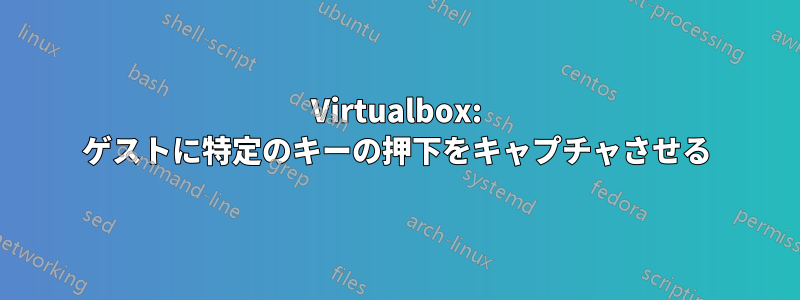 Virtualbox: ゲストに特定のキーの押下をキャプチャさせる