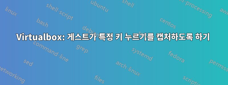 Virtualbox: 게스트가 특정 키 누르기를 캡처하도록 하기