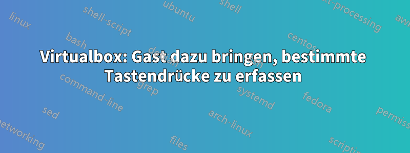 Virtualbox: Gast dazu bringen, bestimmte Tastendrücke zu erfassen