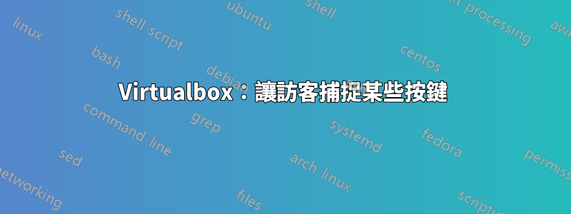 Virtualbox：讓訪客捕捉某些按鍵