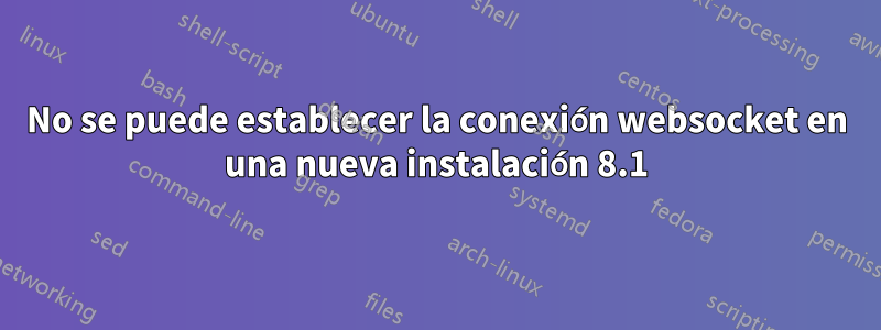 No se puede establecer la conexión websocket en una nueva instalación 8.1