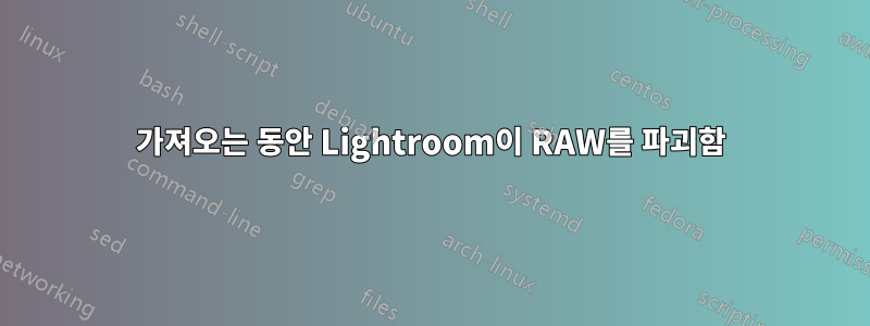 가져오는 동안 Lightroom이 RAW를 파괴함