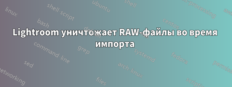 Lightroom уничтожает RAW-файлы во время импорта