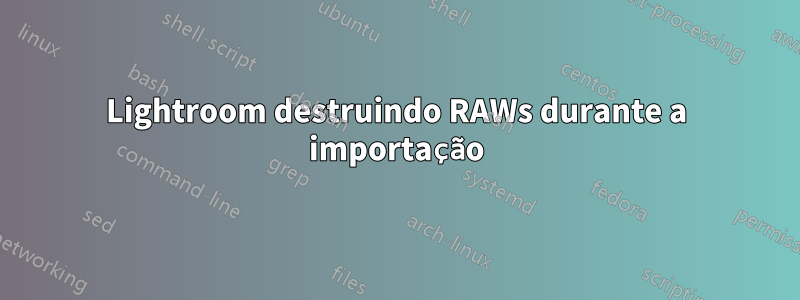 Lightroom destruindo RAWs durante a importação