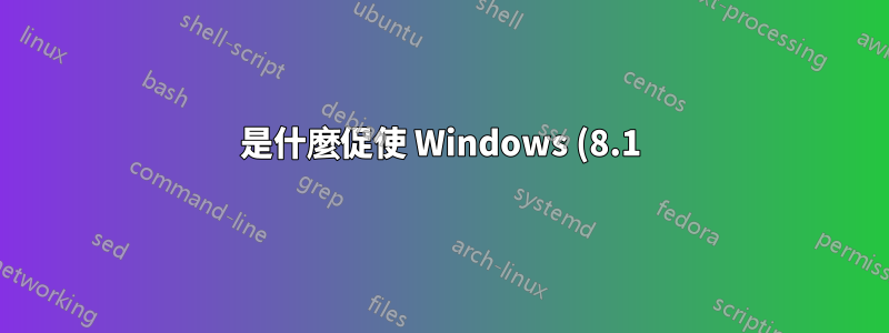 是什麼促使 Windows (8.1) 用此警告標記 WiFi 連線?