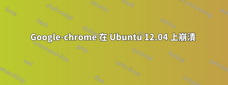 Google-chrome 在 Ubuntu 12.04 上崩潰