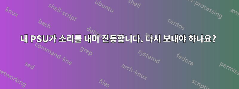 내 PSU가 소리를 내며 진동합니다. 다시 보내야 하나요?