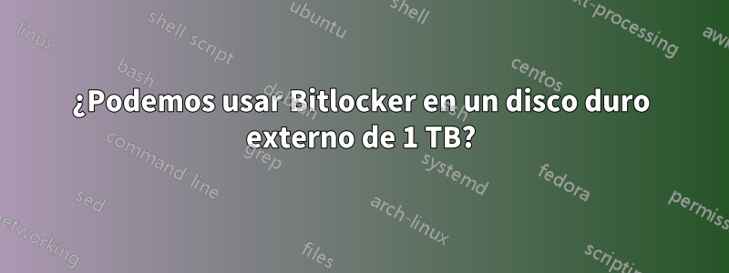 ¿Podemos usar Bitlocker en un disco duro externo de 1 TB?