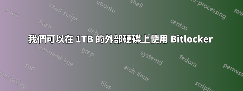 我們可以在 1TB 的外部硬碟上使用 Bitlocker