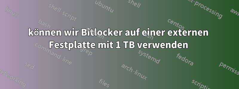 können wir Bitlocker auf einer externen Festplatte mit 1 TB verwenden