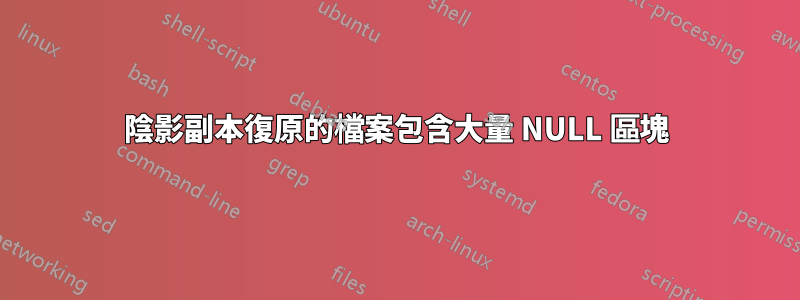 陰影副本復原的檔案包含大量 NULL 區塊