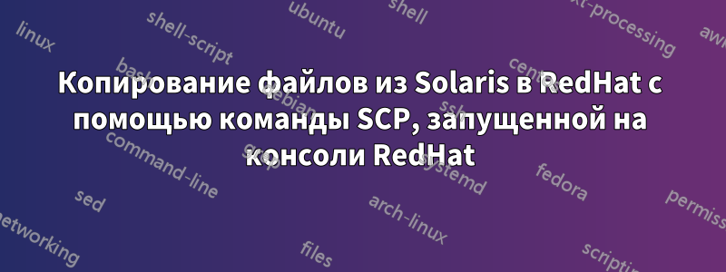 Копирование файлов из Solaris в RedHat с помощью команды SCP, запущенной на консоли RedHat