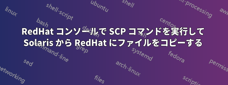 RedHat コンソールで SCP コマンドを実行して Solaris から RedHat にファイルをコピーする