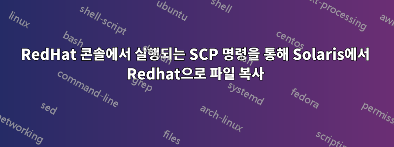 RedHat 콘솔에서 실행되는 SCP 명령을 통해 Solaris에서 Redhat으로 파일 복사