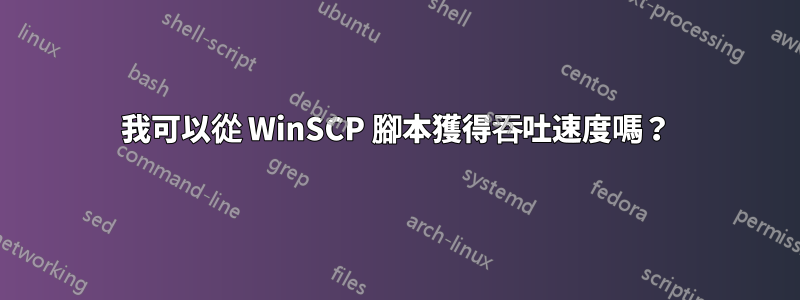 我可以從 WinSCP 腳本獲得吞吐速度嗎？