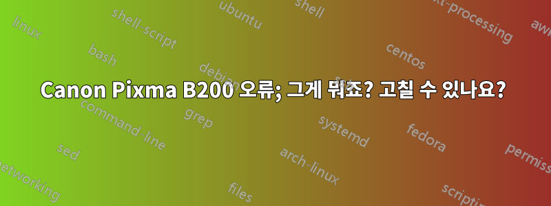 Canon Pixma B200 오류; 그게 뭐죠? 고칠 수 있나요?