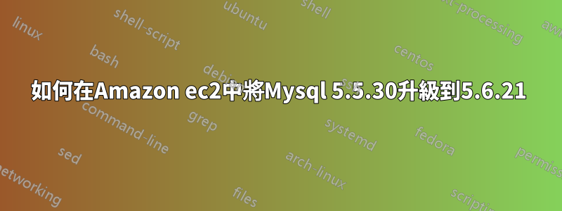 如何在Amazon ec2中將Mysql 5.5.30升級到5.6.21