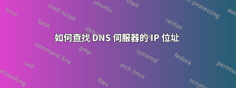 如何查找 DNS 伺服器的 IP 位址