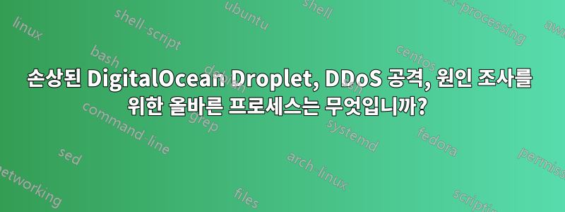 손상된 DigitalOcean Droplet, DDoS 공격, 원인 조사를 위한 올바른 프로세스는 무엇입니까? 