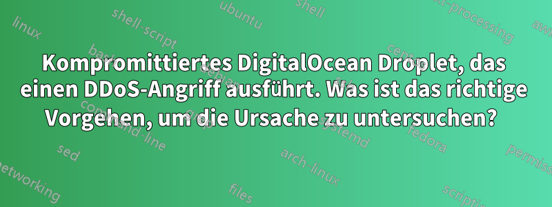 Kompromittiertes DigitalOcean Droplet, das einen DDoS-Angriff ausführt. Was ist das richtige Vorgehen, um die Ursache zu untersuchen? 