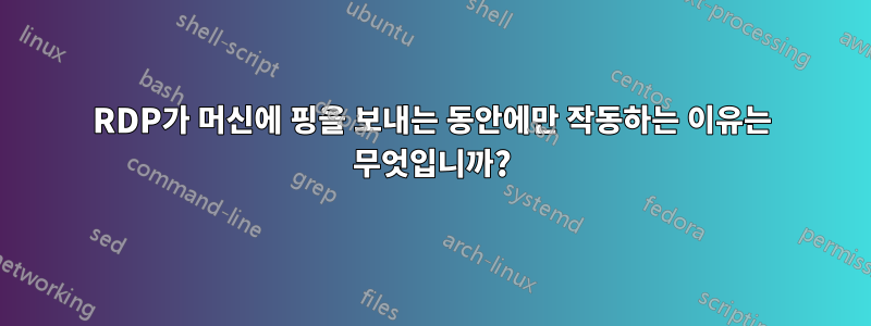 RDP가 머신에 핑을 보내는 동안에만 작동하는 이유는 무엇입니까?