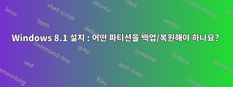 Windows 8.1 설치 : 어떤 파티션을 백업/복원해야 하나요?