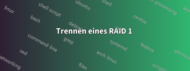 Trennen eines RAID 1