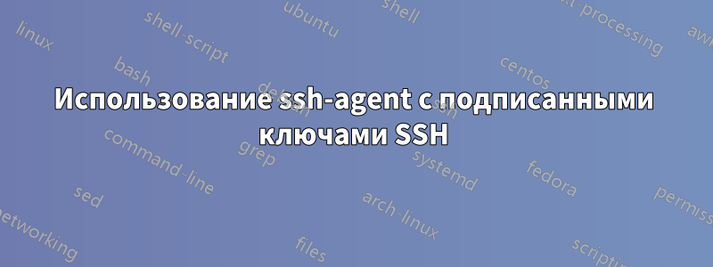 Использование ssh-agent с подписанными ключами SSH