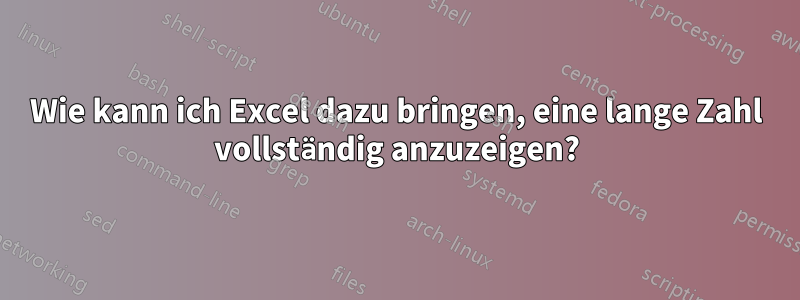 Wie kann ich Excel dazu bringen, eine lange Zahl vollständig anzuzeigen?