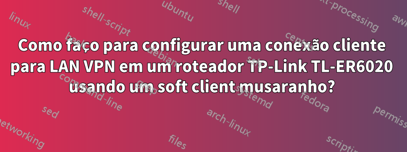 Como faço para configurar uma conexão cliente para LAN VPN em um roteador TP-Link TL-ER6020 usando um soft client musaranho?