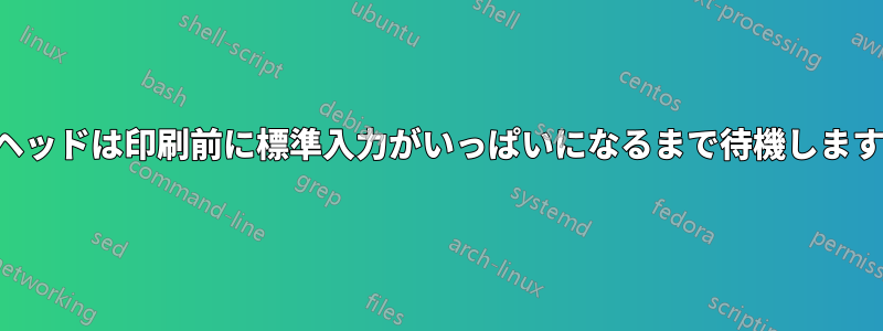 ヘッドは印刷前に標準入力がいっぱいになるまで待機します