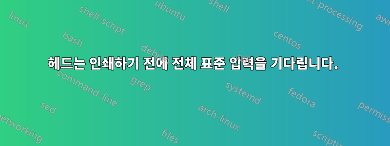 헤드는 인쇄하기 전에 전체 표준 입력을 기다립니다.