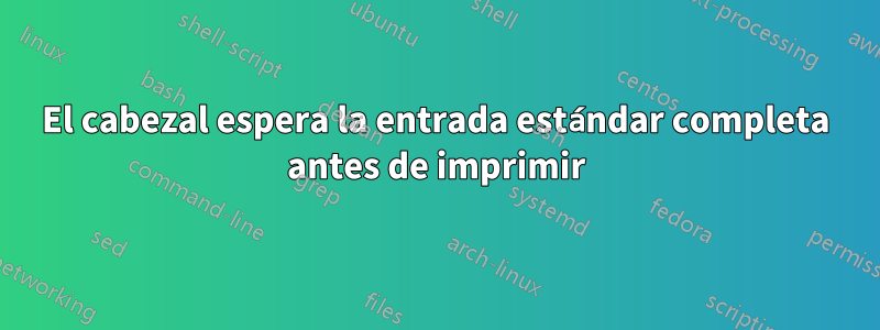 El cabezal espera la entrada estándar completa antes de imprimir