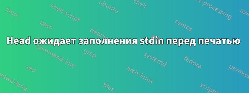 Head ожидает заполнения stdin перед печатью