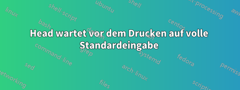 Head wartet vor dem Drucken auf volle Standardeingabe