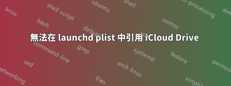 無法在 launchd plist 中引用 iCloud Drive