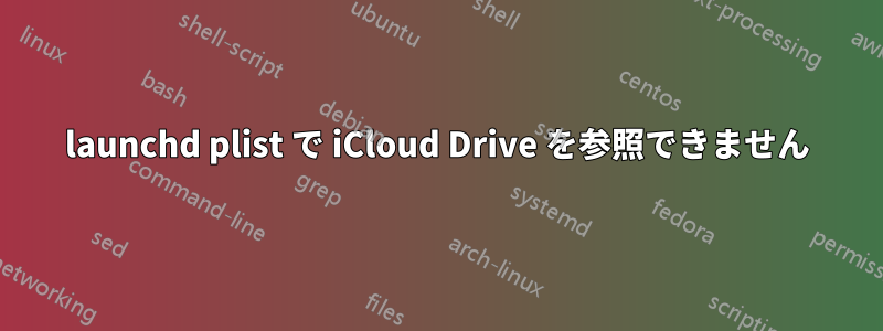 launchd plist で iCloud Drive を参照できません