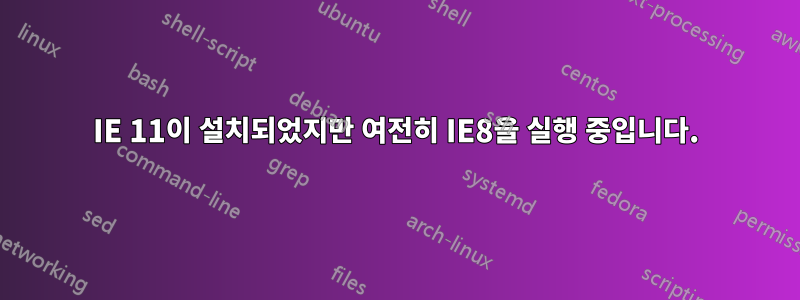 IE 11이 설치되었지만 여전히 IE8을 실행 중입니다.